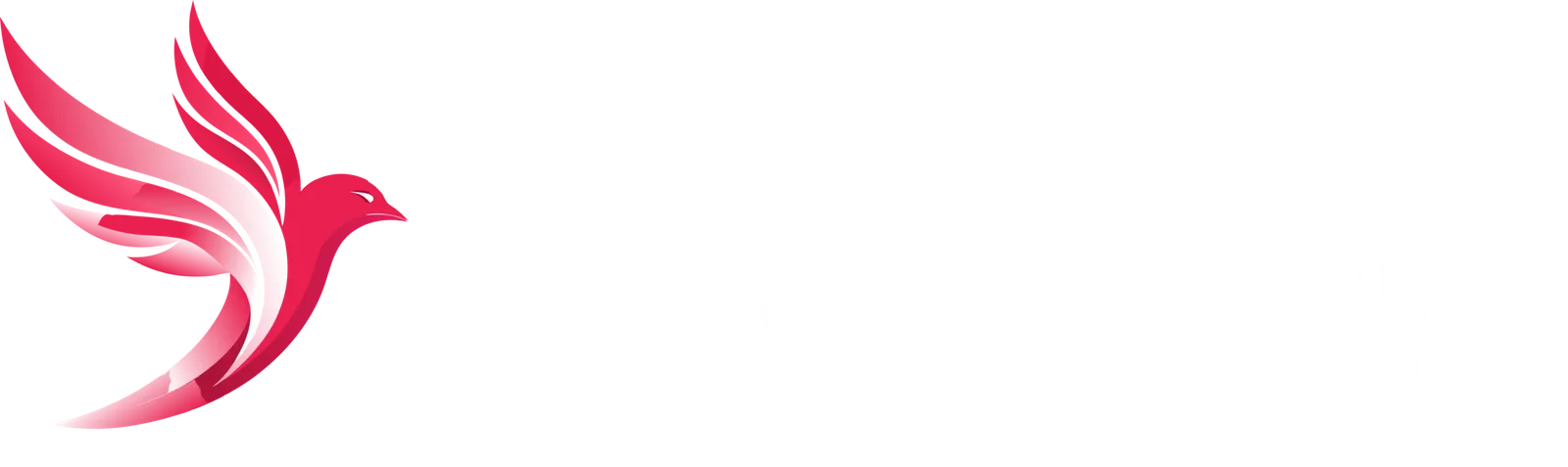 Udaan Digital